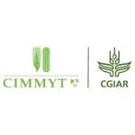 CIMMYT logo