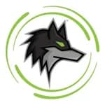 Dark Wolf Solutions logo